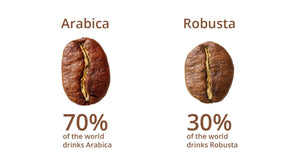 Coffee Tips: Distinguish Arabica Bean from Robusta Bean