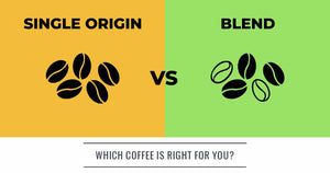 Coffee Tips:　Single Origins VS. Blends